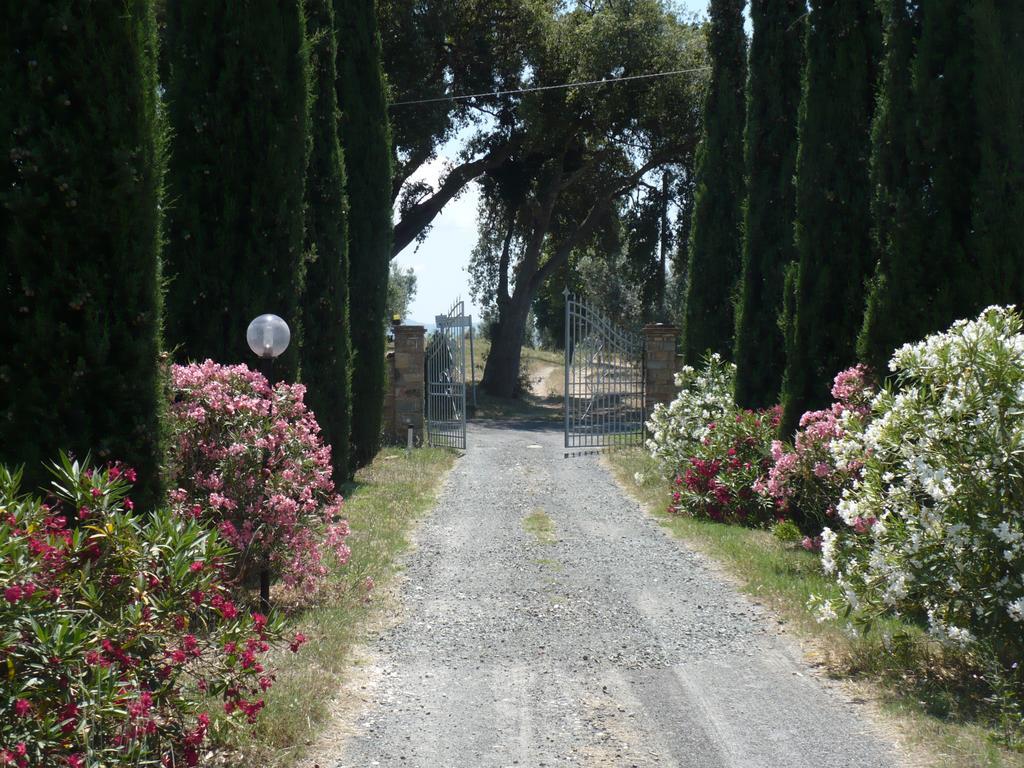 Farm stay La Sassetta *